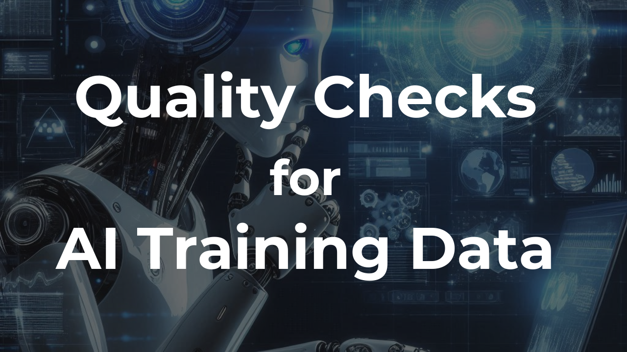 Quality Checks for AI Training Data